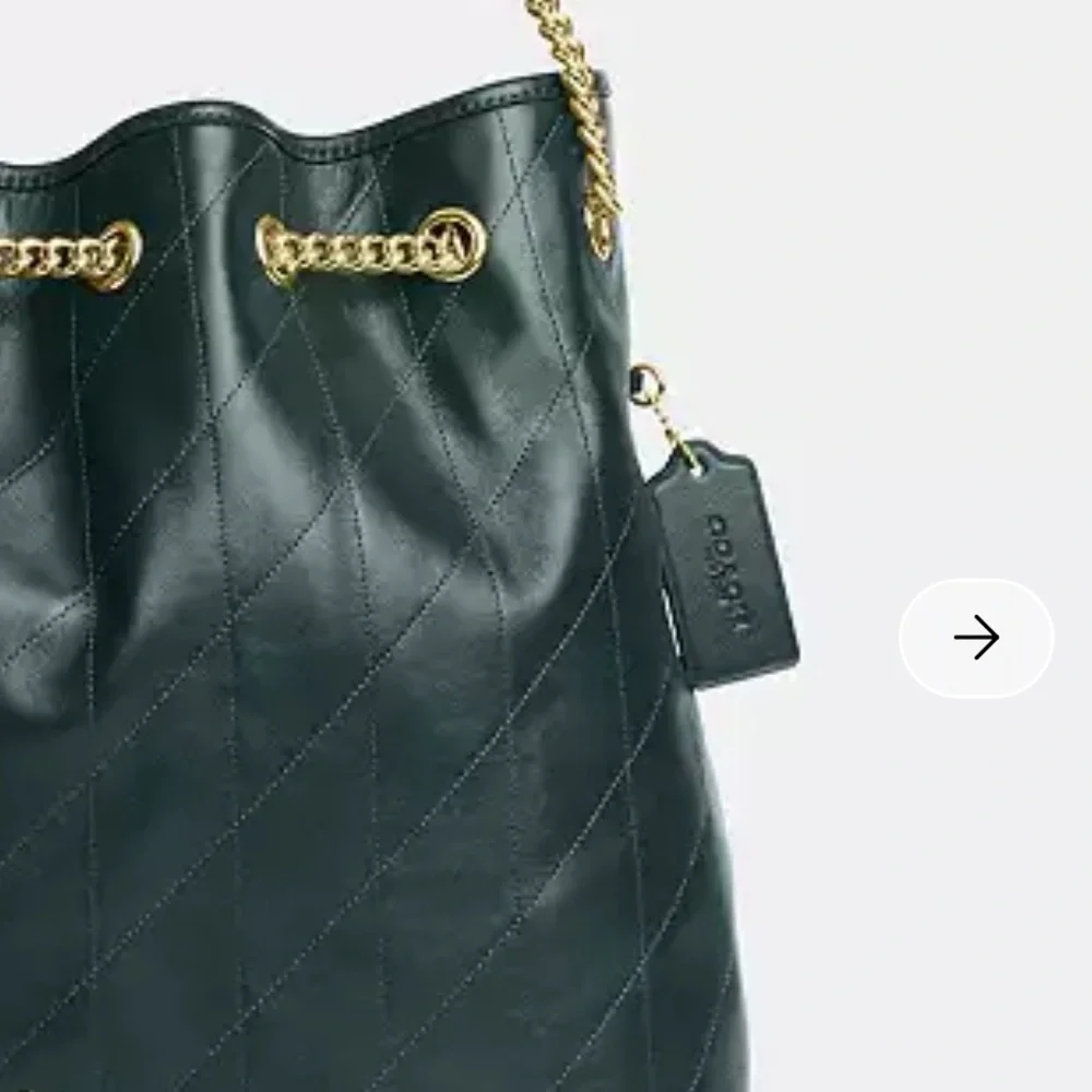 NWT Coach Evelyn‎ Leather Large Shoulder Bag With Quilting - Picture 8 of 8